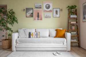 Rented Sofa